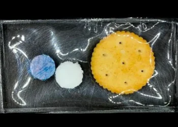 Un capteur à base d'amidon change de couleur pour indiquer l'humidité dans les emballages alimentaires