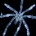 Des araignées de mer aux pattes poilues et aux yeux rouges découvertes dans la mer des Salish