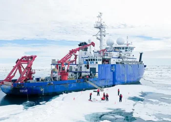 Des courants dans une mer arctique accélèrent la descente du phytoplancton porteur de carbone