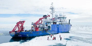 Des courants dans une mer arctique accélèrent la descente du phytoplancton porteur de carbone