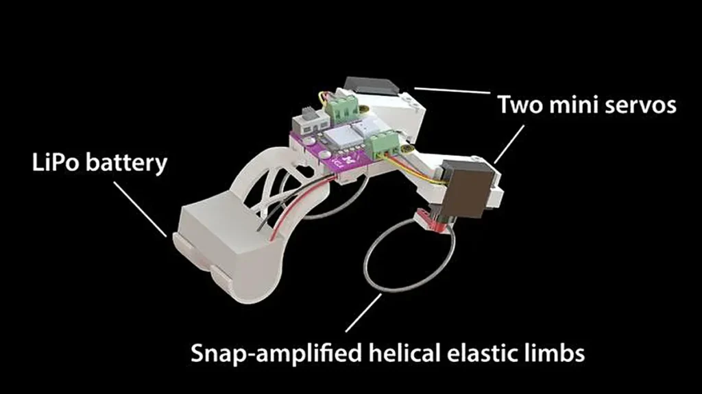 Schéma du robot sauteur. Lorsque les membres élastiques hélicoïdaux situés à l'arrière sont tordus, ils produisent un mouvement brusque qui propulse le robot vers l'avant par des sauts rappelant ceux d'une grenouille.
