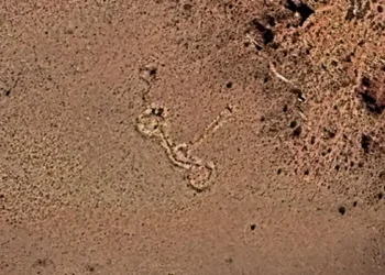 Un géoglyphe andin repéré sur Google Earth attend les archéologues argentins