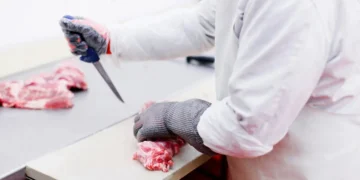 De la boucherie au biocarburant : le rôle clé des suifs animaux dans la transition énergétique