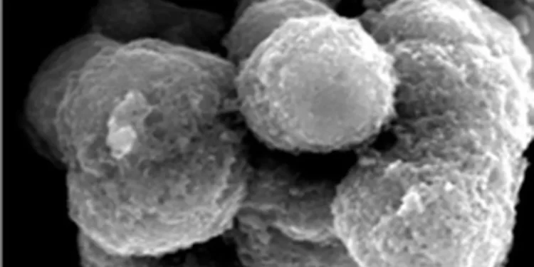 Une batterie silicium-soufre durable conçue à terme pour des applications eVTOL et drones