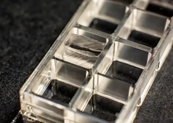 Une méthode de microscopie de précision améliorée développée par une professeure de Rice
