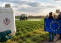 Pesticides autorisés à vie en Europe ? La nouvelle menace qui dépasse la loi Duplomb