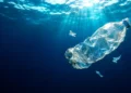 Le plastique manquant des océans se cache aussi dans des particules invisibles