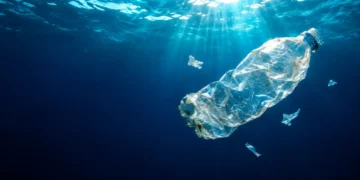 Le plastique manquant des océans se cache aussi dans des particules invisibles