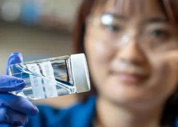 La fabrication et le recyclage des batteries pourraient passer au vert grâce à cette « colle »
