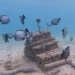 Les sons des récifs sains peuvent stimuler les efforts de récupération des coraux et des poissons