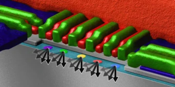Contrôle parallèle de qubits en silicium : haute fidélité maintenue malgré des limites