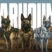 Warhound lève 200 millions pour sécuriser les chiens de travail américains