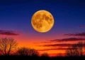 Pleine Lune du Chasseur : maximum prévu le 26 octobre 2026