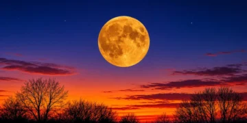 Pleine Lune du Chasseur : maximum prévu le 26 octobre 2026