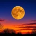 Pleine Lune du Chasseur : maximum prévu le 26 octobre 2026