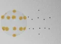 Une énigme vieille de 120 ans rendue visible dans une gouttelette d'hélium