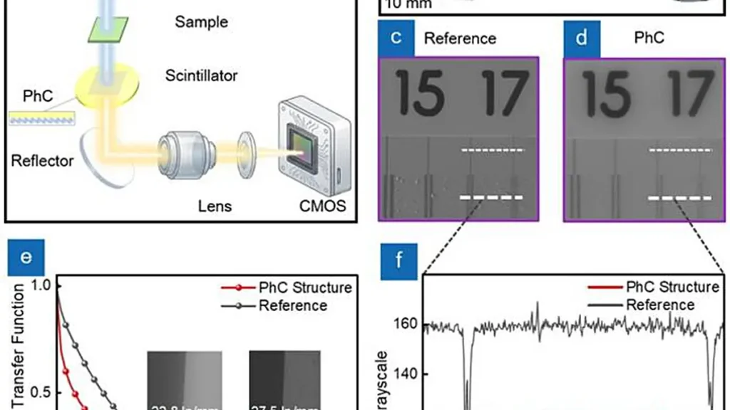 Des chercheurs ont démontré une amélioration des performances d'imagerie aux rayons X, caractérisée par un rendement lumineux et un rapport signal/bruit accrus, tout en conservant une haute résolution spatiale. 