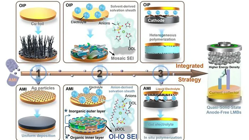 Illustration de la stratégie d'ingénierie d'interface intégrée et dynamique. L'AMI favorise un dépôt uniforme de lithium, déclenche la polymérisation in situ de l'électrolyte et forme une couche SEI de type OI-IO, améliorant ainsi la stabilité des batteries au lithium métallique sans anode.